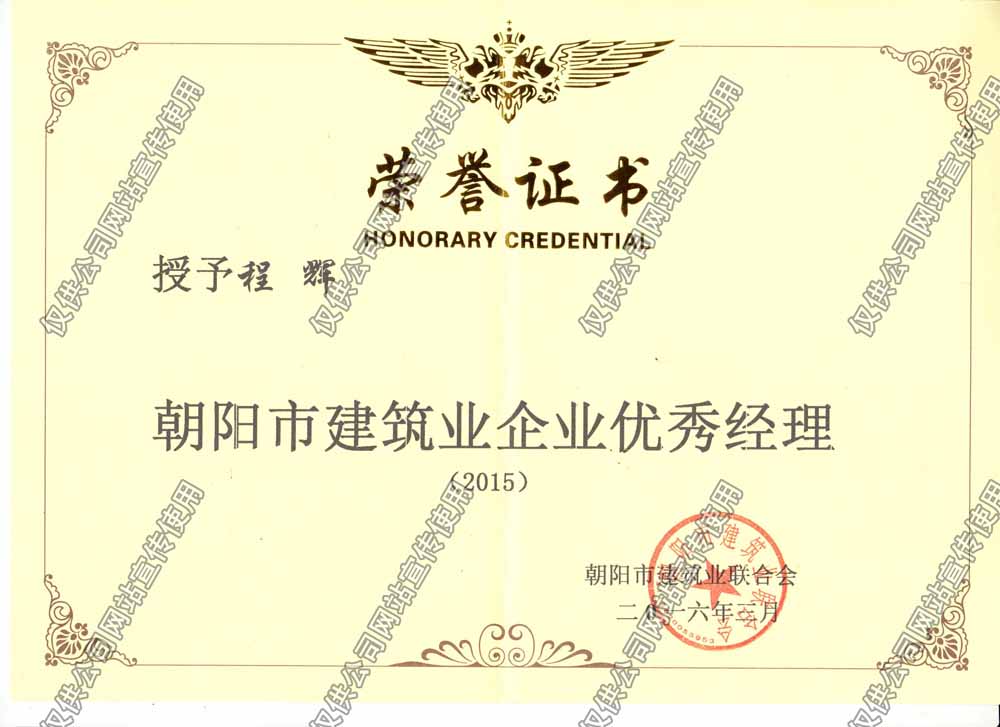 程辉2015市级优秀经理.jpg