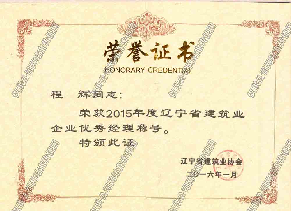 程辉2015省级优秀经理.jpg