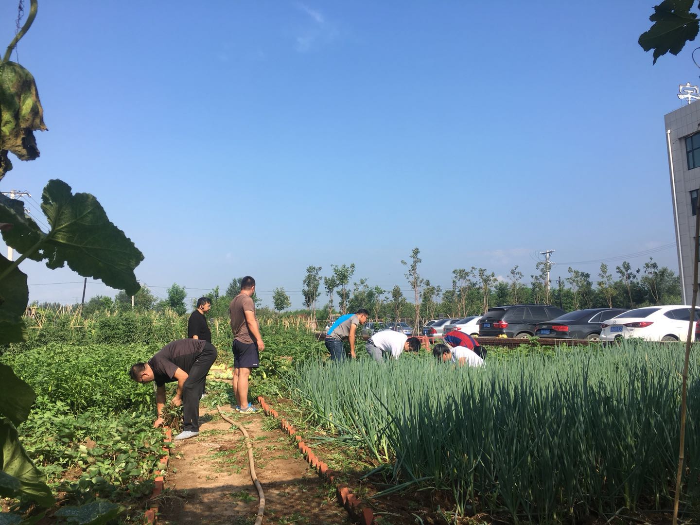 微信图片_20180728112910.jpg